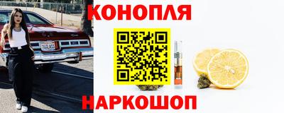 круглые Кингисепп
