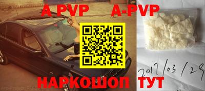 круглые Кингисепп