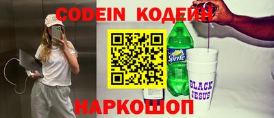 круглые Кингисепп