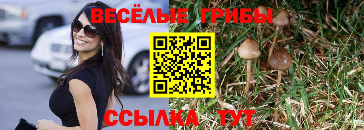 Галлюциногенные грибы мухоморы Железноводск