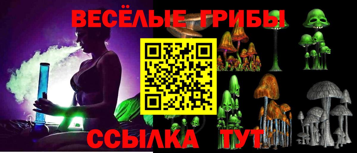 Железноводск  купить наркотик  Галлюциногенные грибы мухоморы  Вход с VPN  Псилоцибиновые грибы прущие грибы 